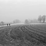 black-and-white-field-jogger-jogging